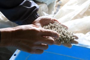 循環型社会を目指す「ケアシェル」